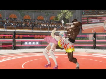 DOA6LR nico vs ザック 　Scientist's Holiday/猫しっぽの周波数 コス 2
