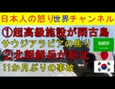 【サウジアラビアの大失敗】８０兆円が完全無駄になる大失敗【韓国に北朝鮮兵が脱北】地雷原をどうやって抜けてきたのか #北朝鮮 #サウジアラビア