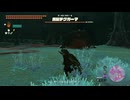 【ティアキン】カカニタナシの根付近の黒曜デグガーマ　ゼルダの伝説ティアーズ オブ ザ キングダムNintendo Switch 2 Edition