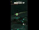 【ティアキン】カカニタナシの根付近の黒曜デグガーマ　ゼルダの伝説ティアーズ オブ ザ キングダムNintendo Switch 2 Edition