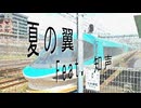 夏の翼 / リク feat. 知声