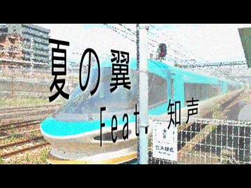 夏の翼 / リク feat. 知声