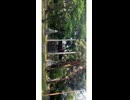 青と夏 FULL公開中