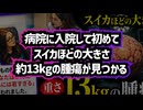 【オーストラリア最大手メディア「7NEWS」が報道】◆高齢者だけじゃない、豪州トップメディアが伝えた若年層のがん急増…
