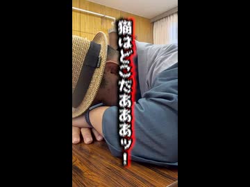 【愛知・日間賀島】着物で猫を探しに行ったら、とんでもない神獣（？）に遭遇した