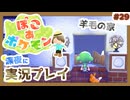 【ぽこ あ ポケモン】メタモン達とのんびり街づくり#29 (なんの縛りもなく初見プレイ）