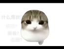 空前のダンダンディディディディブーム