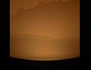 The Dream (GOLD)