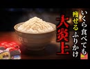 【2006】『糖質を吸収しない魔法の粉』情報番組で取り上げられた「魔法のふりかけ」で大規模食中毒発生…最悪の調理法で猛毒ふりかけとなり数百人に被害が出て大炎上『白いんげんふりかけ事件』を解説