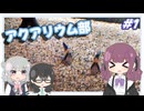 アクアリウム部　Part1　～トリミング編～