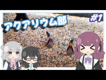 アクアリウム部　Part1　～トリミング編～