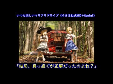 東方ニコ童祭開催を知ってやってきたが途中で迷子になってしまった魔理沙とアリス