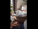 冬おくた