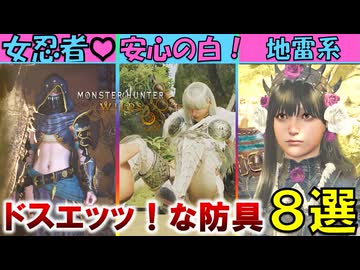 ワイルズの崇高な装備を紹介するぞ！【モンハンワイルズ】