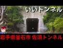 【いいトンネル 岩手県釜石市 佐須トンネル】シカク編。【バーチャルいいゲーマー】