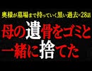 【2chヒトコワ】奥様が墓場まで持っていく黒い過去（短編集51）【人怖】【睡眠】【作業用】