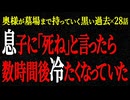 【2chヒトコワ】奥様が墓場まで持っていく黒い過去（短編集52）【人怖】【睡眠】【作業用】
