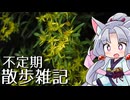 不定期散歩雑記_112 - 雨の立久恵峡