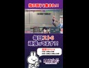 スト6で指示厨したい方にオススメのVtuberはコチラ、凧壷之介です！！#格ゲー #sf6 #ストリートファイター6