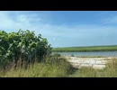 2026年07月18日08時00分　北海道釣りの旅２７日目