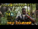 リズム天国ミラクルスターズ　THE A　リズム感の練習　＃１９６　【リズ天】