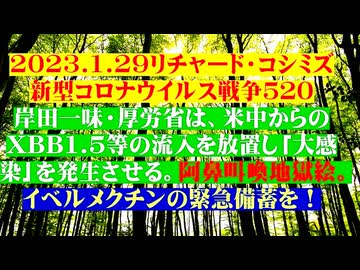 【2023年01月29日 ：『 リチャード・コシミズ「 Internet Lecture 」｟ 新型コロナウイルス戦争 ５２０ ｠｟ RK LIVE ｠｟ 改良版 ｠』】