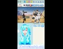 【PSO2NGS】わたしも同行する