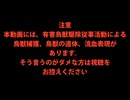 （ニコニコ限定公開・閲覧注意回）変態忍者の、有害鳥獣駆除従事活動記・その３７８＋