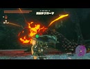 【ティアキン】　ガヒイチョジの根付近の黒曜デグガーマ　ゼルダの伝説ティアーズ オブ ザ キングダムNintendo Switch 2 Edition