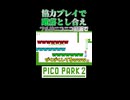 協力プレイなどできない4人組です【ピコパーク2】