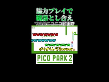 協力プレイなどできない4人組です【ピコパーク2】