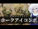 ーホークアイコンボー [MTG]ぱうぺあ娘々のよりシロＭＯ実況：NEW　その２３４[パウパー]