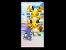 黄色い閃光！ vsメガライチュウＸＹ▼【ポケモンGO】