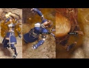 【MHR:S リョナ】アスール剣士装備 悪臭&麻痺ハメ ボイス14