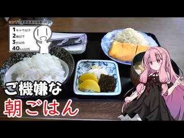 【シンプル車載動画投稿祭】琴葉茜　ご機嫌な早朝ツーリング2026【Voltyでﾄｺﾄｺﾂｰ】