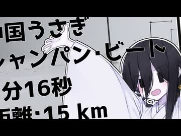 稚内空港まで帰る中国うさぎ【シンプル車載動画投稿祭】