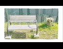 【歌ってみた】おわらない春 / mia