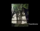 恋愛サーキュレーション弾き語り 2026/7/18