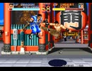 ワールドヒーローズプレイスルードラゴン