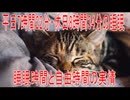 【動画News】平日7時間22分・休日8時間34分の睡眠…睡眠時間と自由時間の実情(2026年公開版)(2026/07/19)