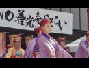 蜷川乱舞桜 善光寺2026