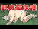 死にかけてた野良猫を保護しました