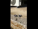 多分これが一番早いと思います