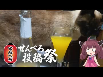 【せんべろ投稿祭】初心者にもおすすめできるワインカクテルのフルボトルで優勝してきた【VOICEVOX：東北きりたん】