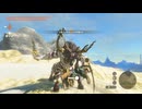 【ティアキン】タマ湖のライネル　ゼルダの伝説ティアーズオブ ザキングダムNintendo Switch 2 Edition