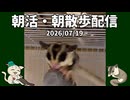 【#フクロモモンガ】【アーカイブ】2026/07/19 7時のフクモモ部屋んぽ&お世話 / 7 AM Sugar Glider Play & Care Live #おはモモンガ