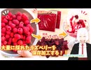 家庭菜園のラズベリーが有り余ってたので保存用に加工するだけの動画
