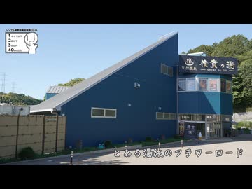 【シンプル車載動画投稿2026】とある湯旅のフラワーロード