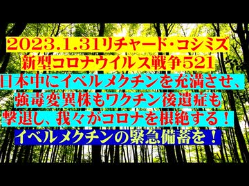 【2023年01月31日 ：『 リチャード・コシミズ「 Internet Lecture 」｟ 新型コロナウイルス戦争 ５２１ ｠｟ RK LIVE ｠｟ 改良版 ｠』】