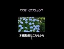 【バルカンS】ダイジェスト版！埼玉のあじさい名所と神社を巡る初ツーリング